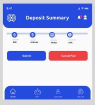 deposit summary